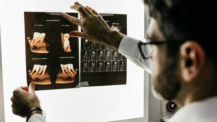 Weird Wide Web – Wanneer DDS tande wys Weird Wide Web – Wanneer DDS tande wys | News Article