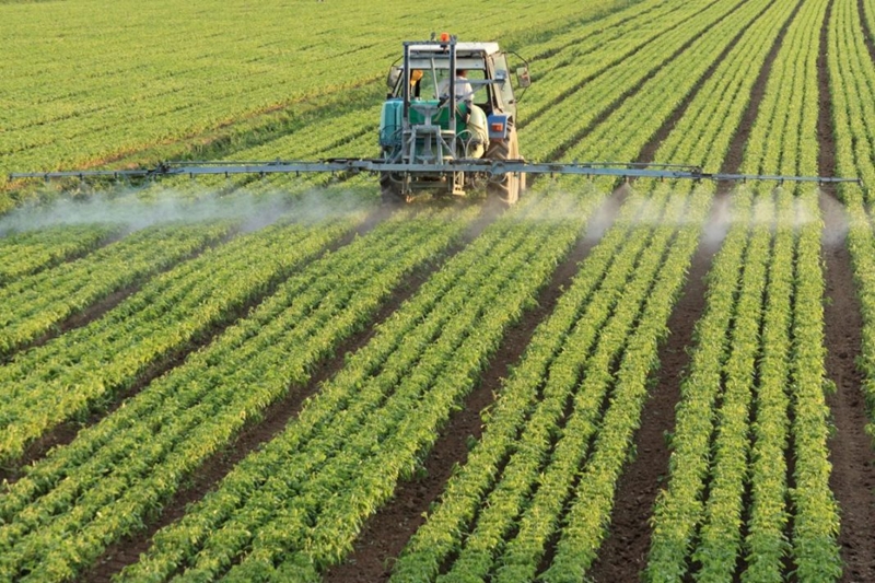 Agri-Uur: Jongste Safex-nuus | News Article