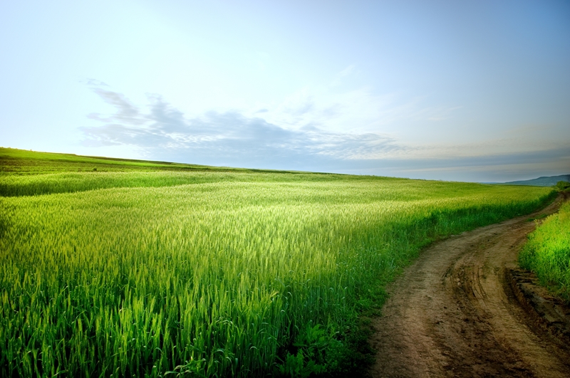 Agri-Uur: Jongste Safex-nuus | News Article