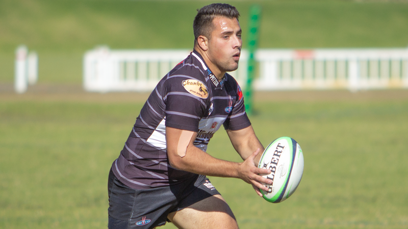 Bergh backs his 'mentality monsters' Bergh backs his 'mentality monsters' | News Article
