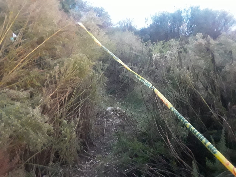 Missing girl's body discovered behind Northern Cape government building - Vimarsana News