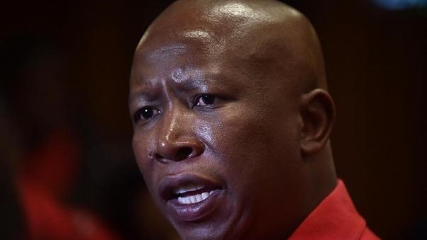 SAHRC: Sufficient reason to find Malema’s statements as hate speech  | News Article
