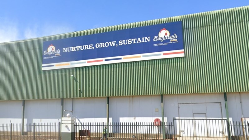 ‘Korporatiewe boer’ neem stuur oor by pluimveeprodusent | News Article