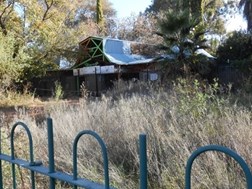  Bloemfontein may soon have a zoo again | News Article