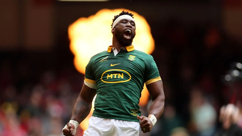 Heroic Springboks arrive back in South Africa Heroic Springboks arrive back in South Africa | News Article