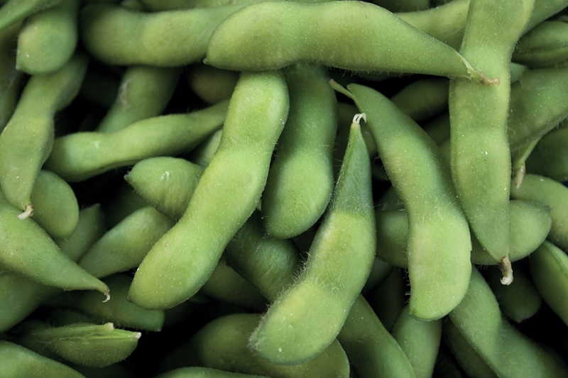 Agri-uur: Jongste Safex-nuus | News Article