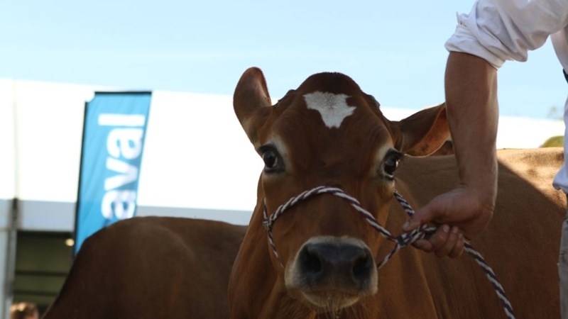 #FMD: Rolspelers aangemoedig om verantwoordelik op te tree | News Article