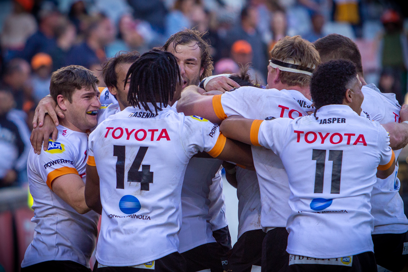 Cheetahs to tackle Pumas in Currie Cup final | News Article