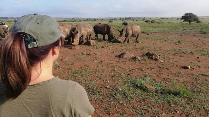 MSc student sets sights on perfecting rhino milk recipe | News Article