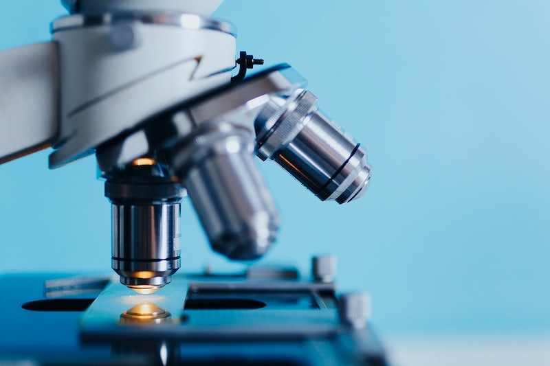 Lab-grown brain cells play video game | News Article