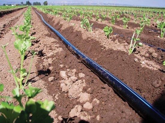 Rouwatertarief-konsultasies moet impak op voedsel in ag neem | News Article