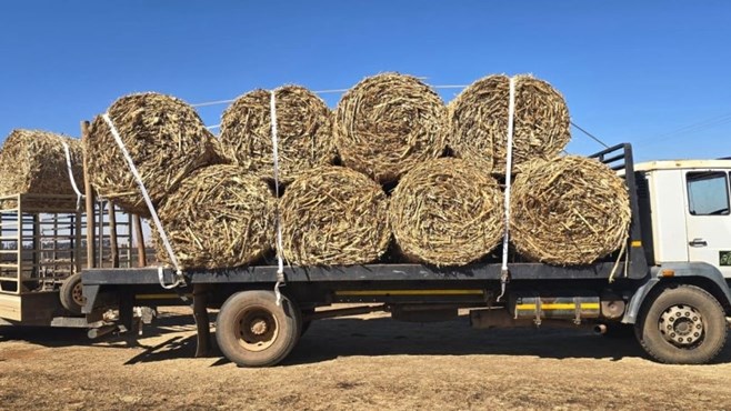 40 t voer aan boere geskenk ná skade weens veldbrande | News Article