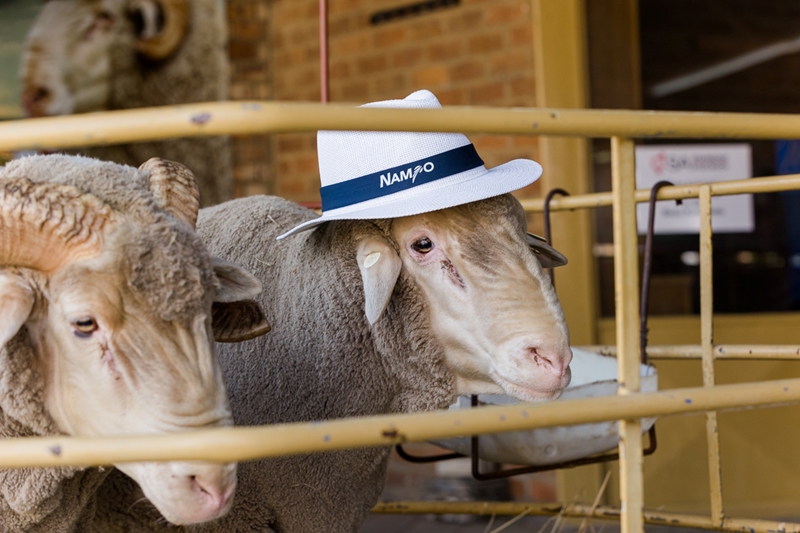 Wéér vele te sien en beleef by NAMPO ALFA 2023 | News Article