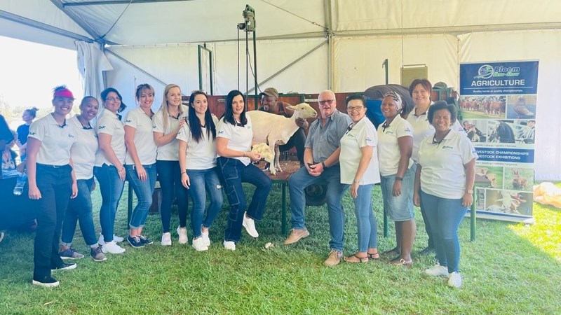Skaapskeerdemonstrasie bring landbou na stadskinders Skaapskeerdemonstrasie bring landbou na stadskinders | News Article