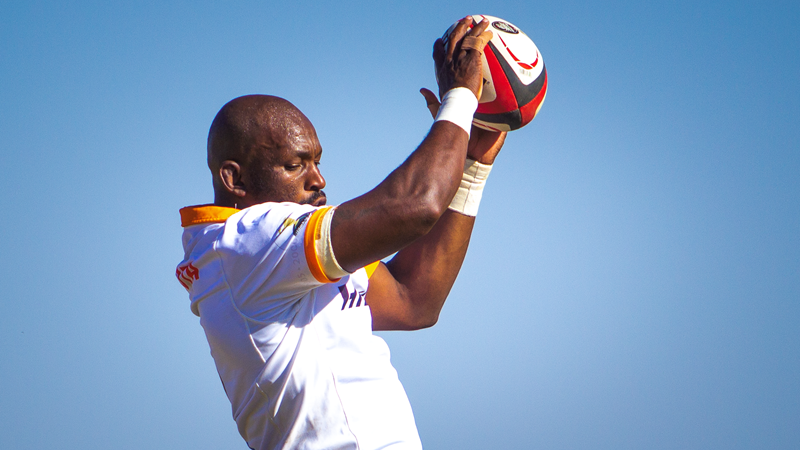 Sekekete back for big Pumas game | News Article