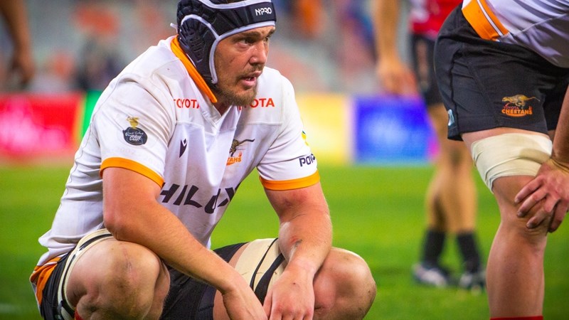 ‘We need to get ourselves back on this horse’ – Steyn ‘We need to get ourselves back on this horse’ – Steyn | News Article
