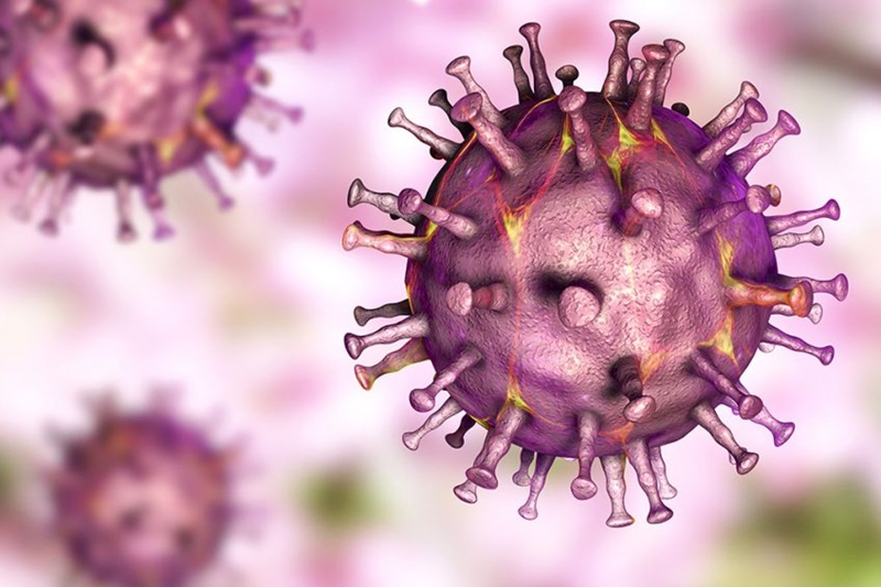 Biosekuriteit kort meer aandag in Suid-Afrika | News Article