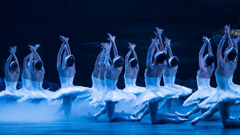 Swan Lake gaan Potchefstromers betower met plaaslike en internasionaal bekende ballerinas Swan Lake gaan Potchefstromers betower met plaaslike en internasionaal bekende ballerinas | News Article
