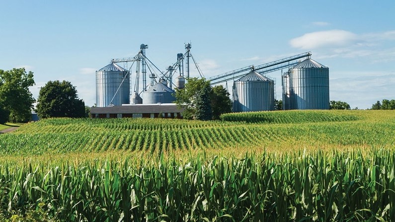 #Agbiz: Agbiz/IDC Agribusiness Confidence Index rebounds in Q4 of 2021 | News Article
