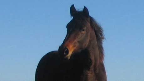 Hier is van jou hoof landboustories op OFM Hier is van jou hoof landboustories op OFM | News Article