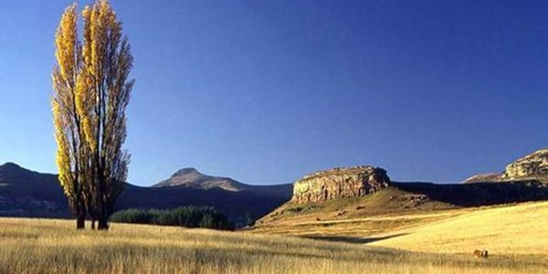 Clarens hou eeufees Clarens hou eeufees | News Article
