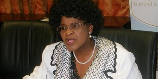Human settlements officials suspended | News Article