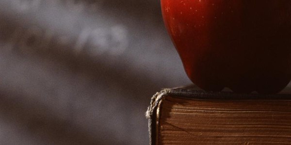 Naptosa supports NC schools catch-up plan Naptosa supports NC schools catch-up plan | News Article