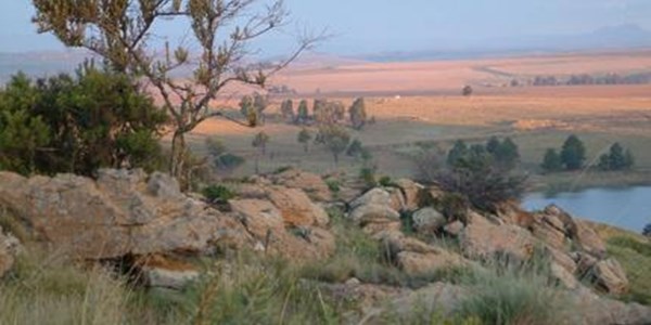 Wolhuterskop-kerksaamtrek met hand en tand beveg Wolhuterskop-kerksaamtrek met hand en tand beveg | News Article