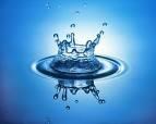 Bacteria-riddled river water poses health risk: report | News Article