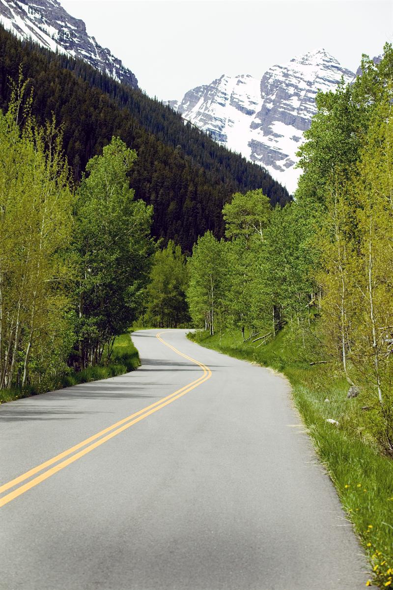 60 FS vehicle testing stations unable to test roadworthiness of trucks | News Article