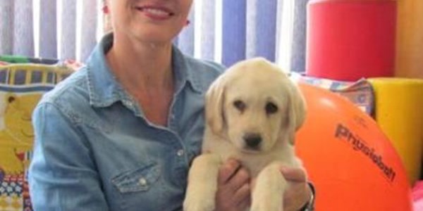 Jessy the Labrador therapist | News Article