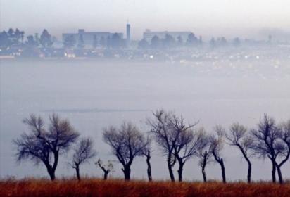 SA companies successfully reducing carbon footprint | News Article