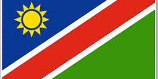 Namibia casts ballots in Africa's first e-vote | News Article