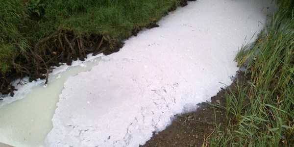 Mooi River: Nestlé working to establish cause of cremora spillage Mooi River: Nestlé working to establish cause of cremora spillage | News Article