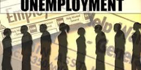 Feature: Youth Employment Optimism | News Article