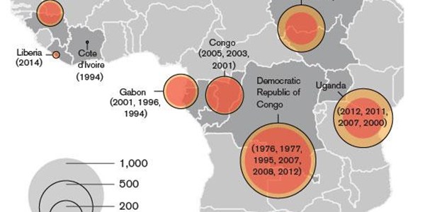 Liberiese grensposte gesluit uit vrees vir Ebola-virus | News Article