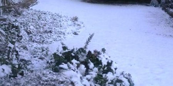Weerverslag en temperature: Sneeu in die Vrystaat | News Article