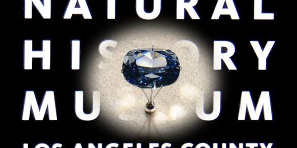 Blue Moon diamond goes on display | News Article