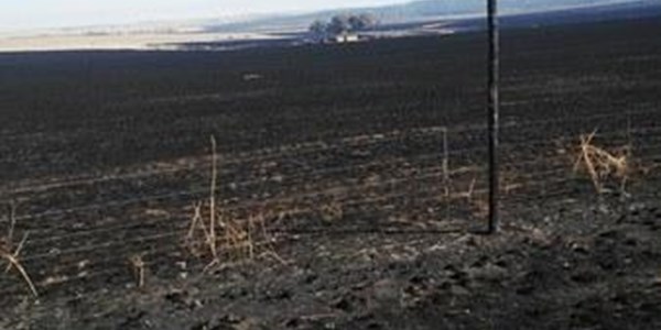 We're in dire straits: Harrismith farmer We're in dire straits: Harrismith farmer | News Article