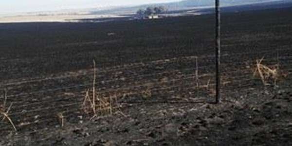 Harrismith-wegholveldbrande: Niks wat boere kon doen | News Article