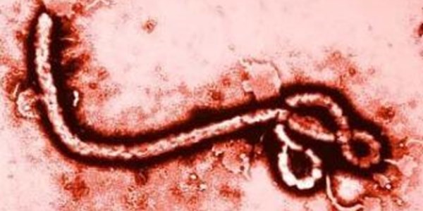 Ebola death toll passes 3 000 | News Article