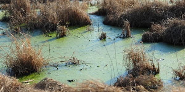 'Thousands of megalitres untreated sewage enters SA's dams and rivers daily' 'Thousands of megalitres untreated sewage enters SA's dams and rivers daily' | News Article