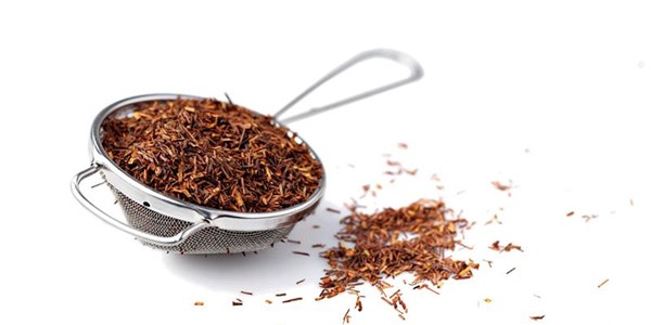 Price of Rooibos could rise by 90% | News Article