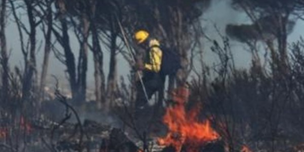 Firefighters work through the night to contain Muizenberg fire | News Article