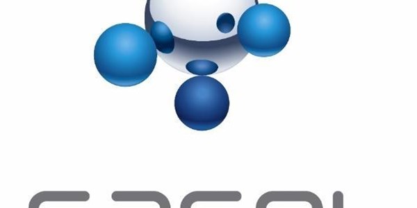 Sasol suspends operations in Mozambique | News Article