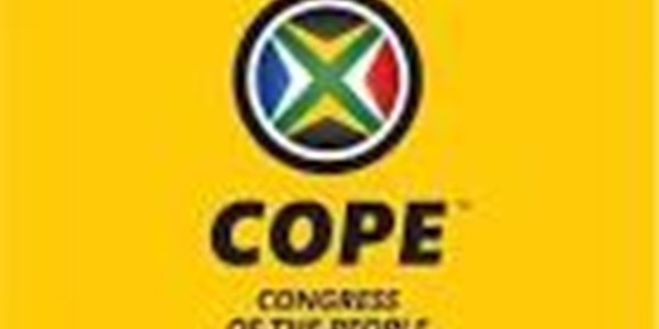 Government has not properly addressed the cause of xenophobia: COPE | News Article