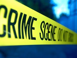 Woman killed in Bothaville | News Article