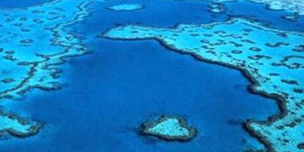 Great Barrier Reef not in danger, yet | News Article