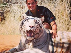 Big cats back home | News Article