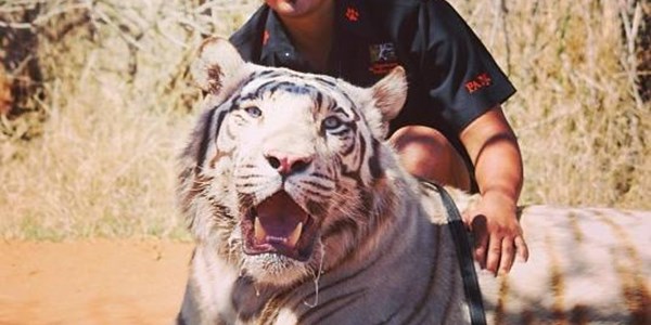 ‘Big cats were already sold’ ‘Big cats were already sold’ | News Article